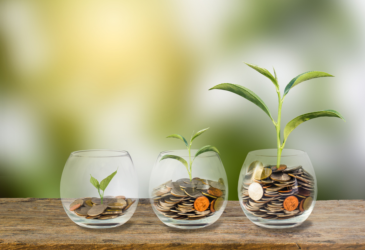Single Three Payment Premium Plan